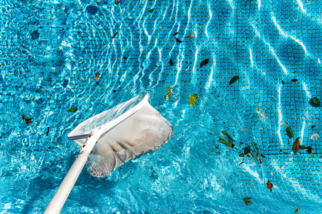 épuisette enlevant les feuilles dans une piscine